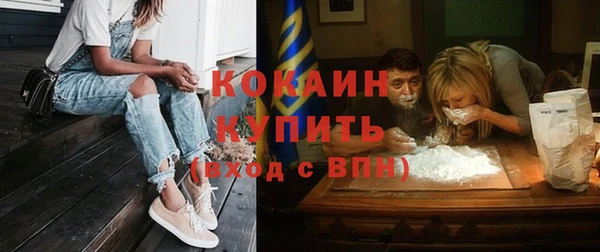 МДПВ Богородск