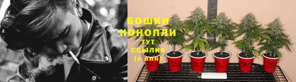 первитин Богородицк