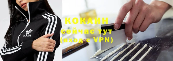 твердый Богданович