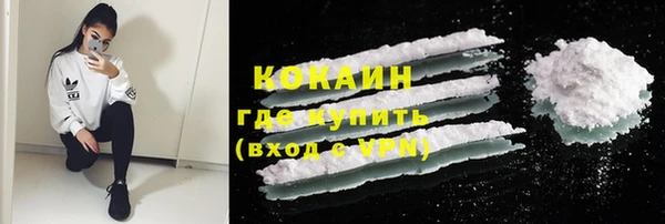 МДПВ Богородск