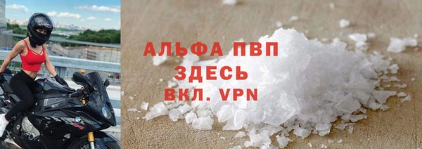 твердый Богданович