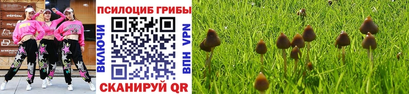 Псилоцибиновые грибы GOLDEN TEACHER Мантурово